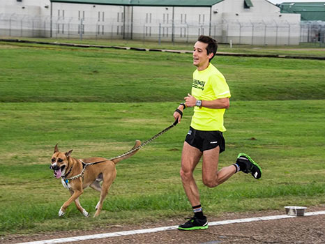 10 Races to Run with Your Dog | ACTIVE
